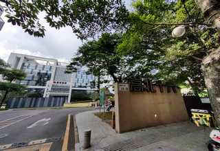 青岛赤松防腐木供应