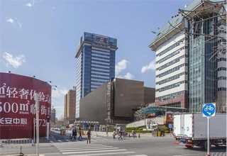 湖北大型企业用DevExpress